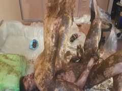 69 position scat sex with nasty couple